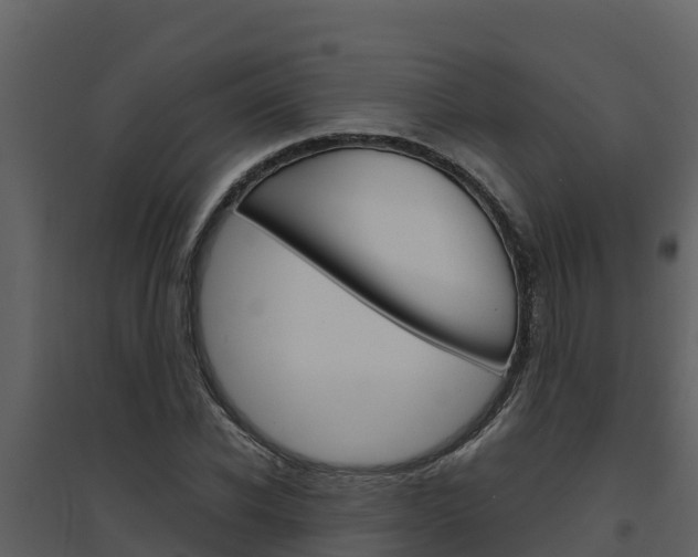 X0000094800926200711160937