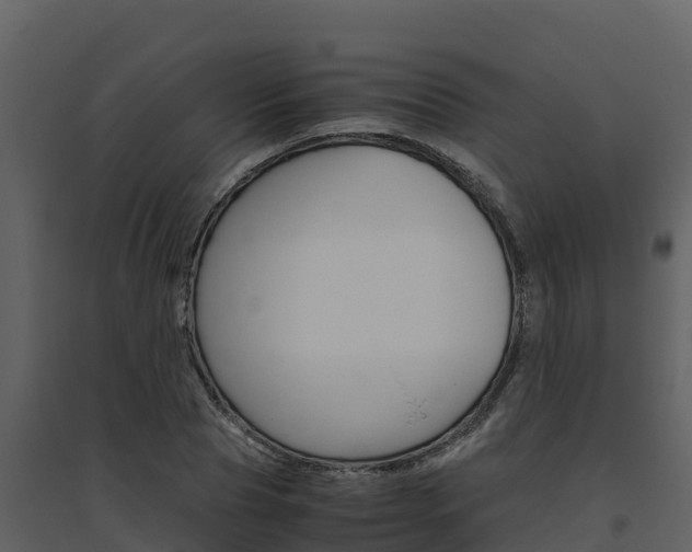 X0000094800929200711160937