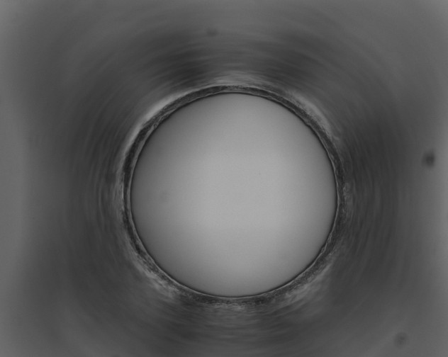 X0000094800931200711160937