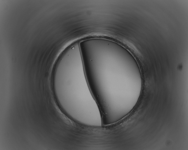 X0000094800934200711160937