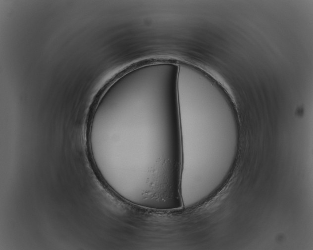X0000094800935200711160937