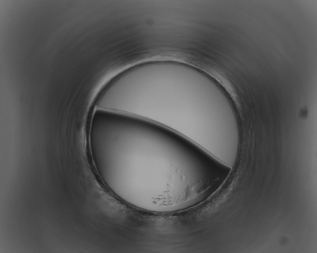 X0000094800936200711160937