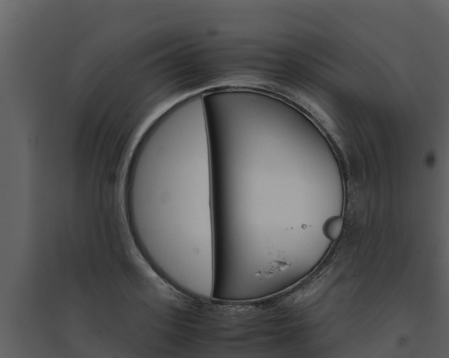 X0000094800939200711160937