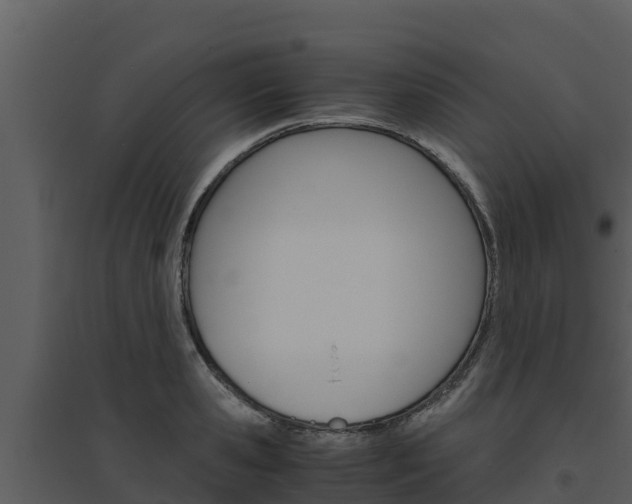 X0000094800941200711160937