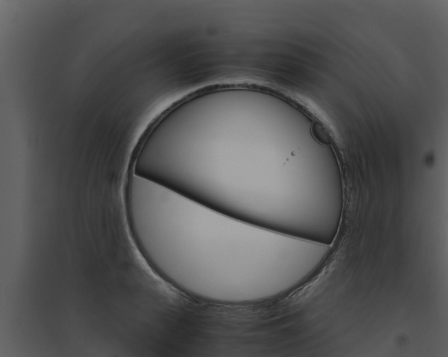 X0000094800943200711160937
