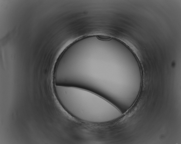 X0000094800949200711160937