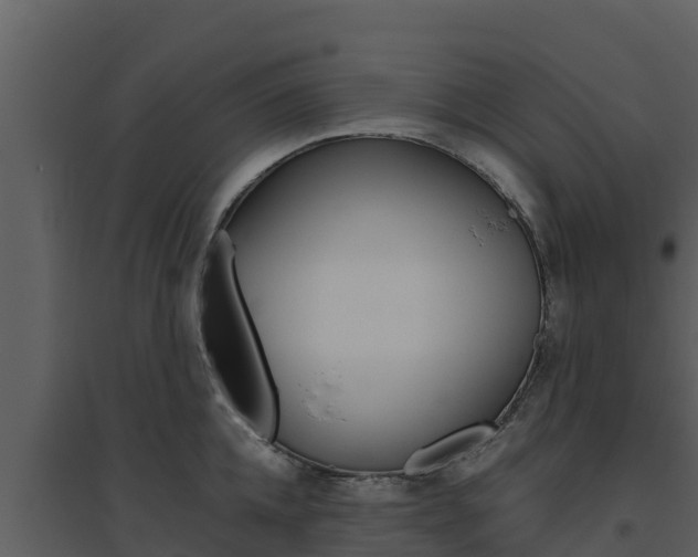 X0000094800952200711160937