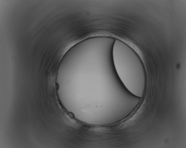 X0000094800953200711160937