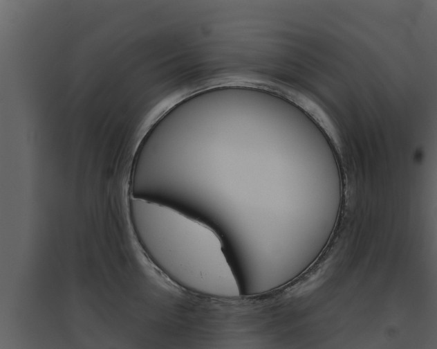 X0000094800954200711160938