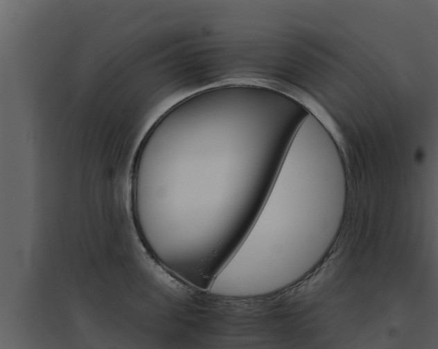 X0000094800955200711160938