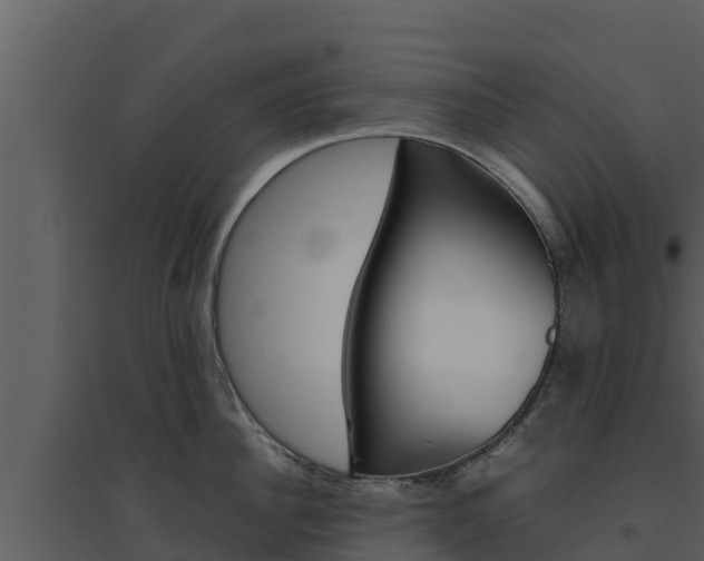 X0000094800956200711160938