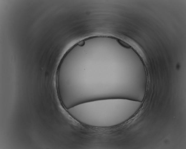 X0000094800958200711160938