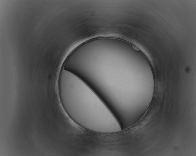 X0000094800959200711160938