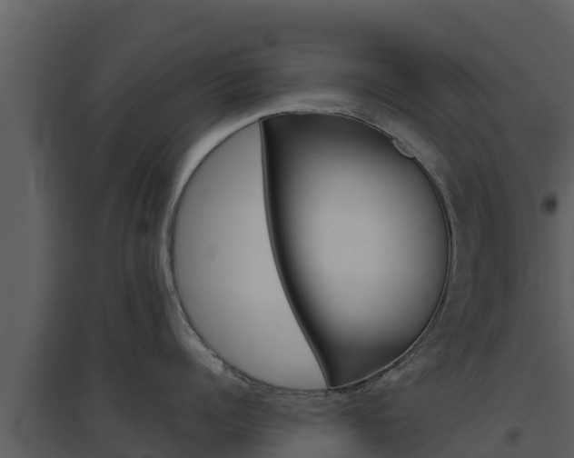 X0000094800960200711160938