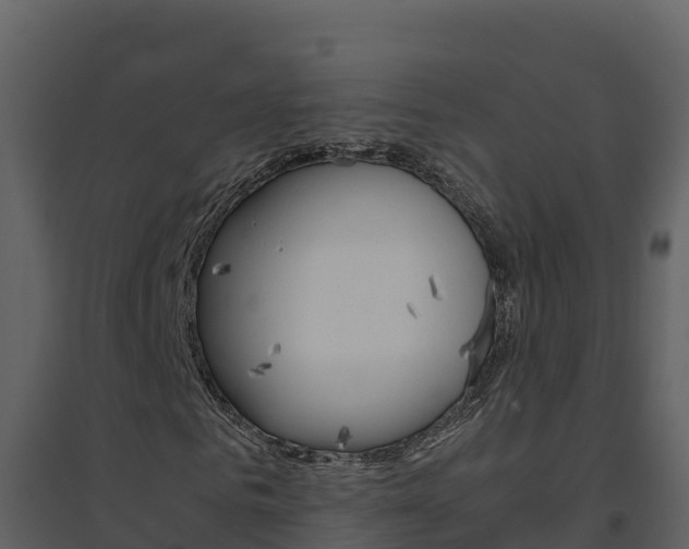 X0000094800961200711160937