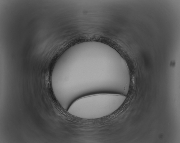 X0000094800963200711160937