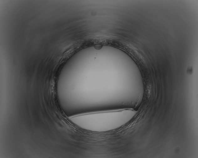 X0000094800964200711160937