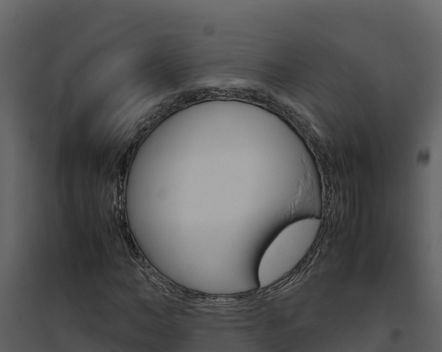 X0000094800966200711160937