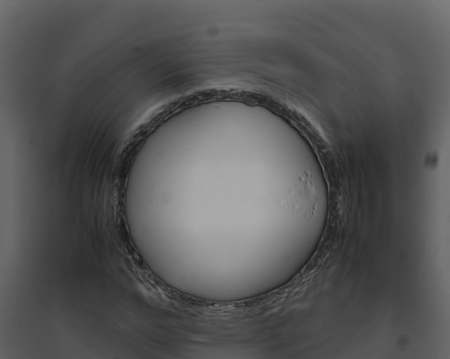 X0000094800968200711160937