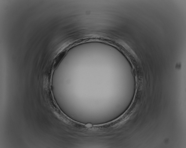 X0000094800969200711160937