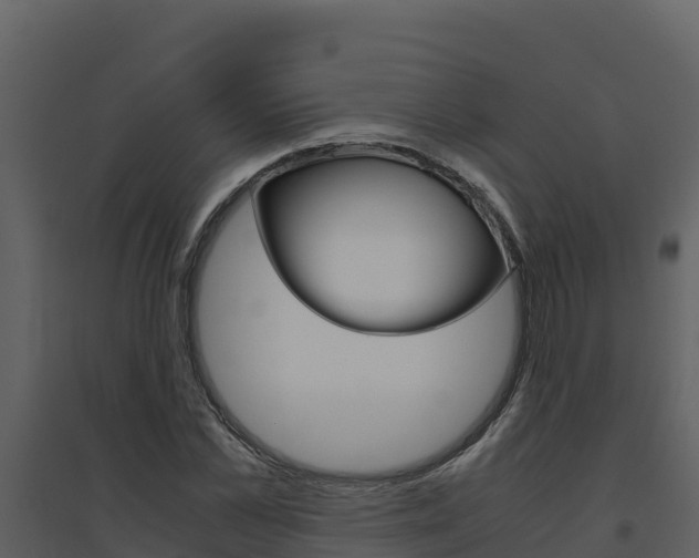 X0000094800973200711160937