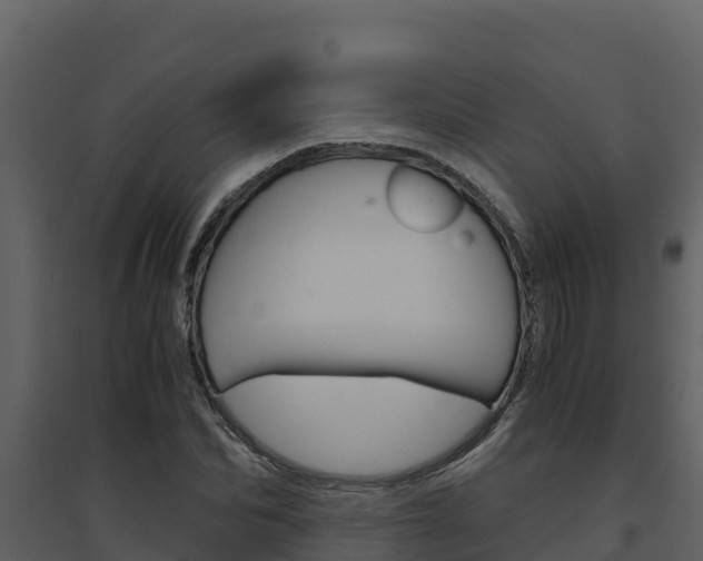 X0000094800974200711160937