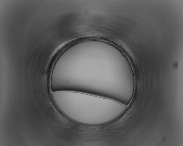 X0000094800975200711160937