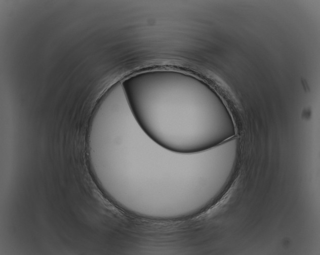 X0000094800977200711160937