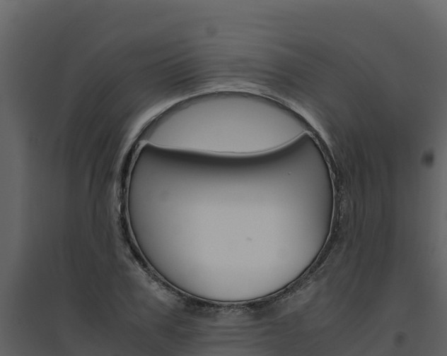 X0000094800979200711160937