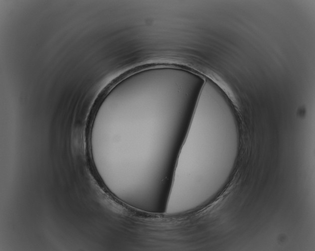 X0000094800980200711160937