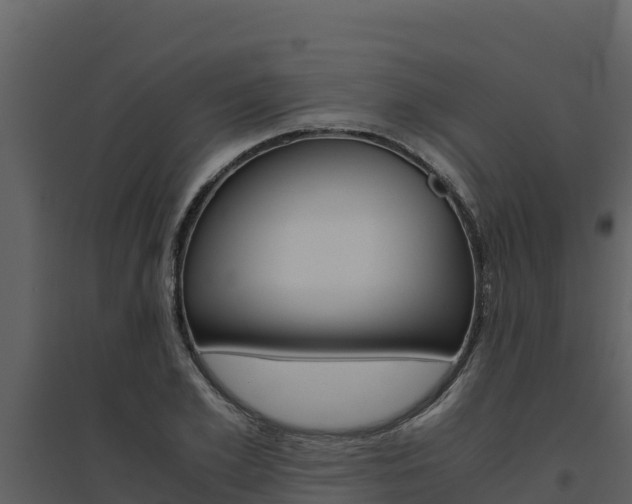 X0000094800981200711160937
