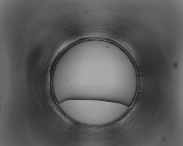 X0000094800982200711160937