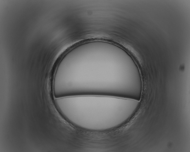 X0000094800983200711160937