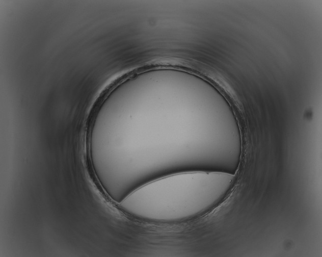 X0000094800984200711160937