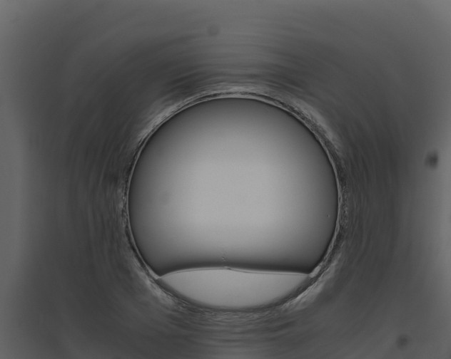 X0000094800985200711160937