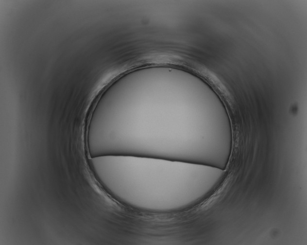 X0000094800986200711160937