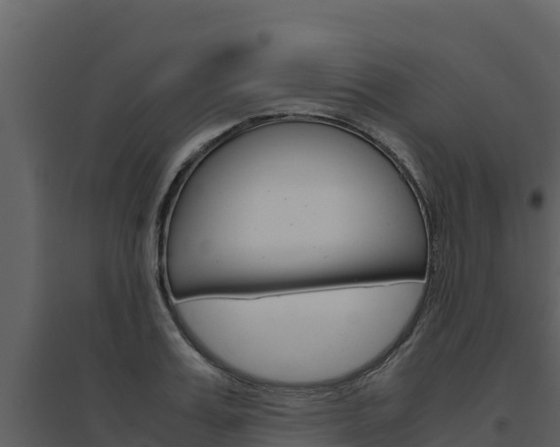 X0000094800987200711160937