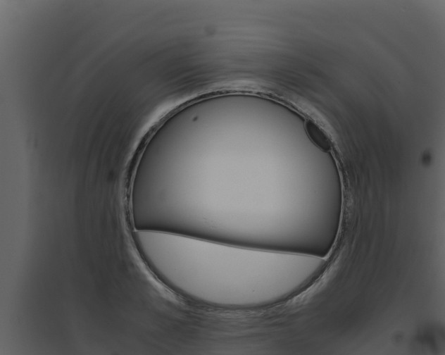 X0000094800989200711160937