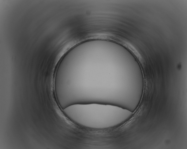 X0000094800994200711160936