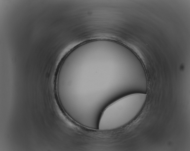 X0000094800995200711160936