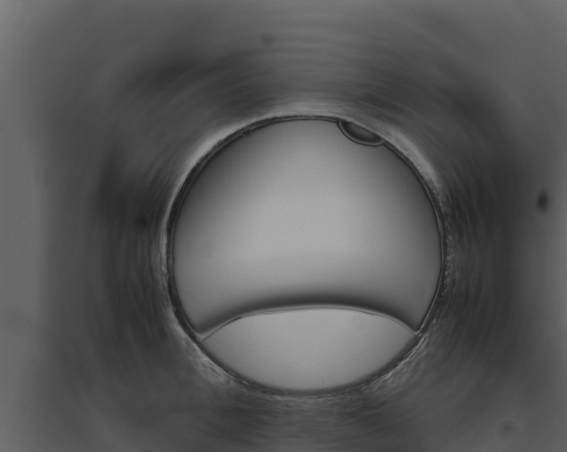 X0000094800996200711160936