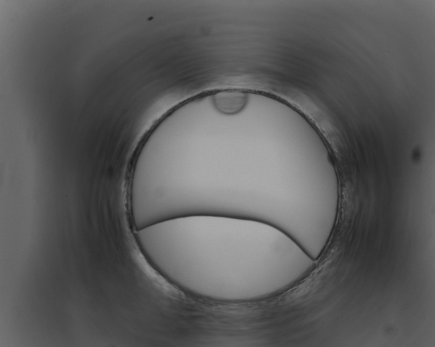 X0000094800998200711160936