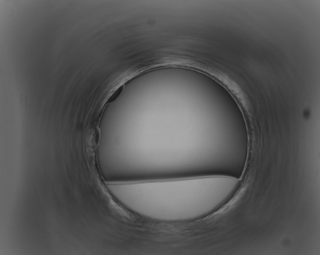 X0000094801001200711160936
