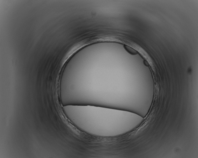 X0000094801002200711160936