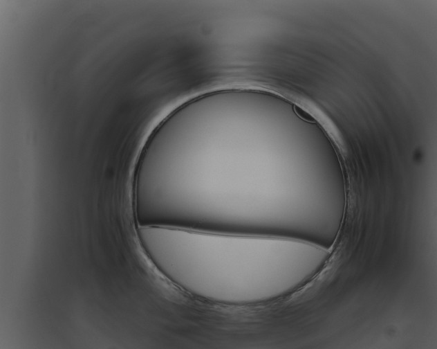 X0000094801004200711160936