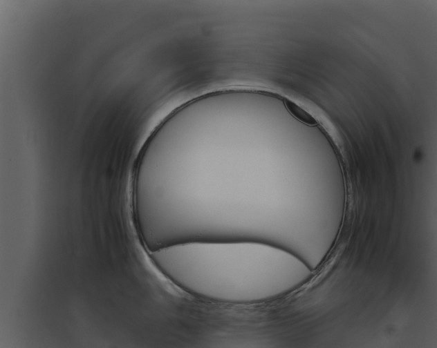 X0000094801006200711160936