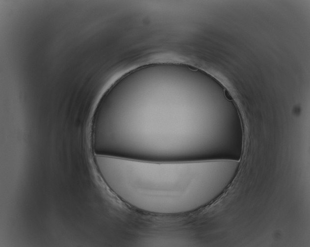 X0000094801008200711160936