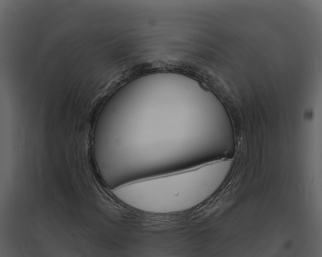 X0000094801012200711160935