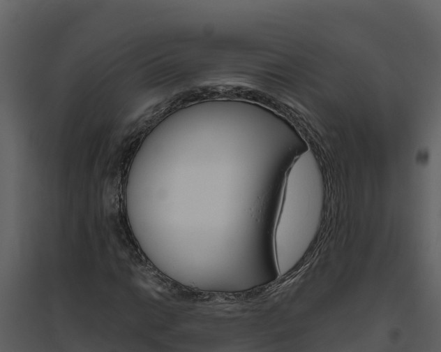 X0000094801014200711160935