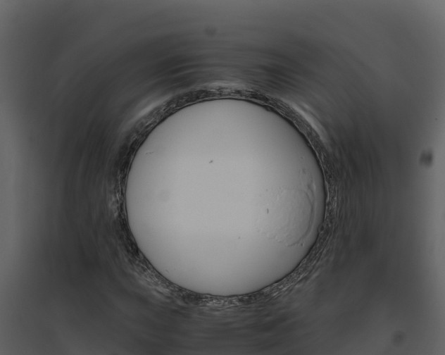 X0000094801015200711160935